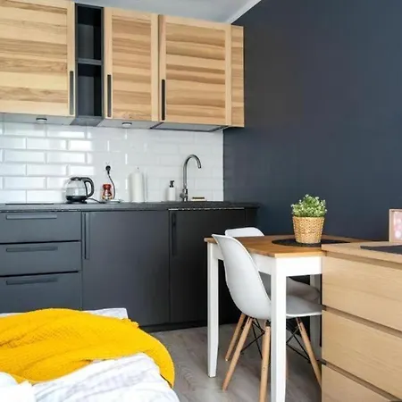Modern 2 - Center - Ogrodowa Apartment *
